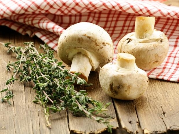 Os cogumelos tm baixa quantidade de caloria e alto teor de protenas e fibras Foto: Getty Images