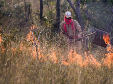 Mato Grosso  lider no ranking nacional de queimadas, segundo o Inpe 