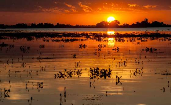 Pantanal deve receber US$ 400 mi em saneamento e sustentabilidade