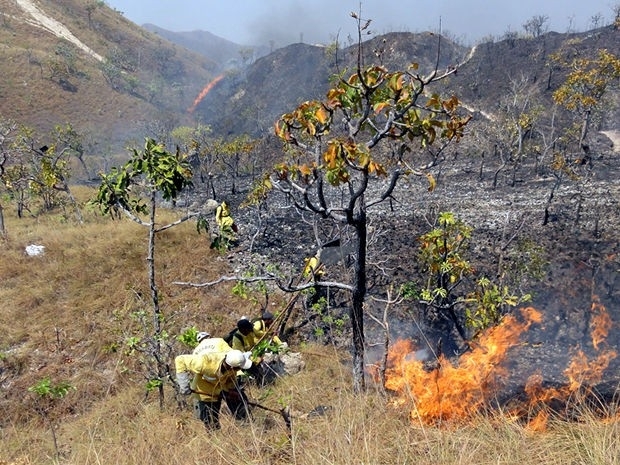 O incndio atinge a regio do parque desde a ltima sexta-feira (7) (Foto: Reproduo/TVCA)
