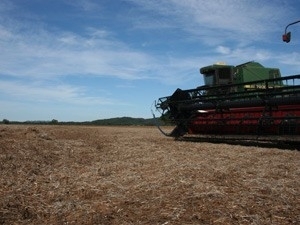 Rendimento com agricultura pode crescer 23,5% (Foto: Leandro J. Nascimento/G1)