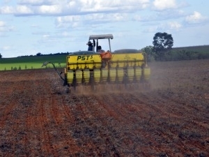 Plantio em Mato Grosso atingiu 3,3% de rea