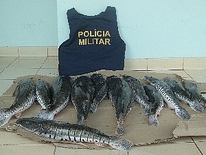 O pescado foi encontrado aps denncia em MT.