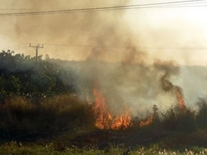 Incndio atinge terreno baldio de Vrzea Grande