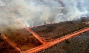 Apesar de proibidas, queimadas se intensificam em todo o Estado de Mato Grosso