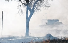 Mato Grosso  um dos estados mais afetados por queimadas