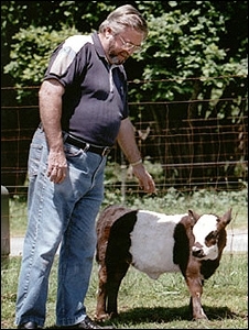 Richard Gradwohl disse que vacas em miniatura usam menos pasto