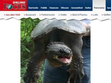 Banhos foram proibidos no local at que o animal seja localizado