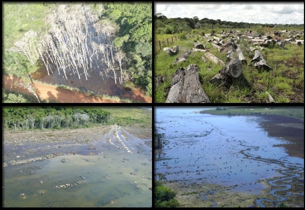 Imagens reas mostram flagrantes de degradao ambiental na Hidreltrica Bocauva, em Brasnorte