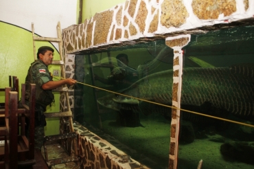 Peixes e quelnios estavam em aqurio sem licena ambiental (Foto: Marinho Ramos/Semcom)