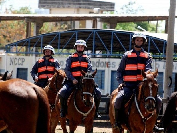 Cavalos vo comear a atuar durante as festas de final de ano. (Foto: Assessoria/Sesp-MT)