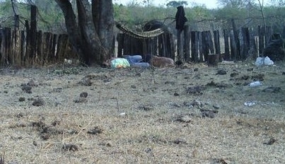 Os corpos dos trabalhadores assassinados foram encontrados espalhados em fazenda (Foto: Arquivo Pessoal)