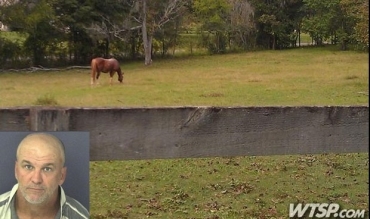 Patrick Louis Linn foi acusado de invadir o estbulo de vizinho e fazer sexo com cavalo. (Foto: Reproduo)