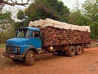 Caminho apreendido transportava toras de madeira irregular (Foto: Reproduo / TVCA)