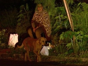 Lilica carrega marmita preparada pela professora para os outros animais (Foto: Reproduo/EPTV)