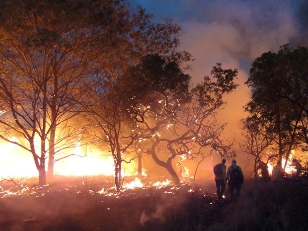 Brigadistas tentam combater incndio no Parque de Chapada (Foto: ICMBio/ Parna da Chapada dos Guimares)