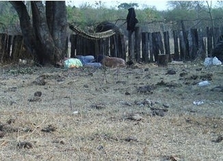 Corpos dos trabalhadores assassinados foram encontrados espalhados em fazenda (Foto: Arquivo Pessoal)