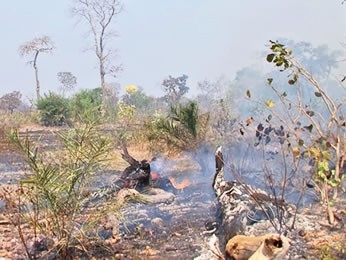 Fogo se alastra h cinco dias no Pantanal em Mato Grosso (Foto: Reproduo/TVCA)