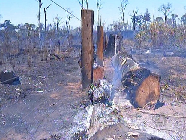 Incndio atinge cerca de 30 propriedades da zona rural de Tangar da Serra (Foto: Reproduo / TVCA)