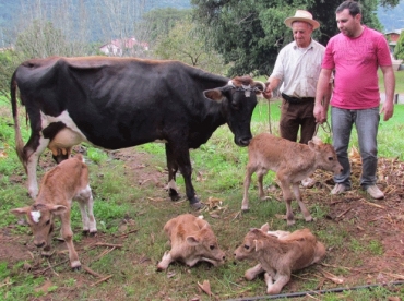 Criador (E) e tcnico agrcola com a me e os filhotes (Foto: Neiton Bittencourt Perufo/Divulgao/Emater)