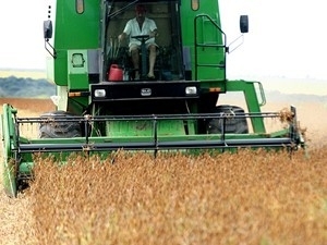 Produtores esto apostando na alta no preo da soja no mercado internacional (Foto: Secom-MT)