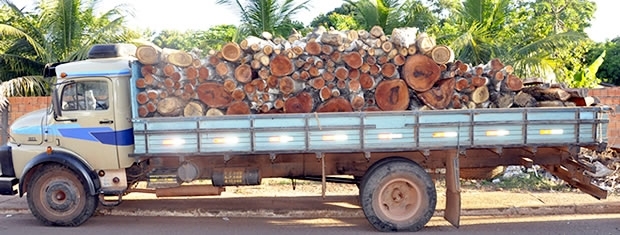 Madeira apreendida estava em caminho carregado com outras toras