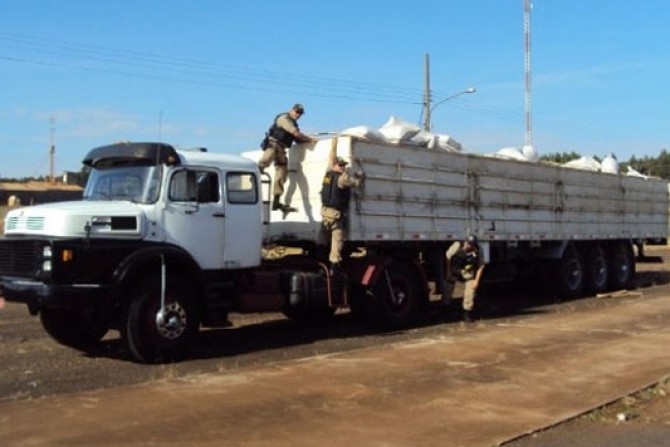 PF e PRF apreenderam a cocana escondida em caminho