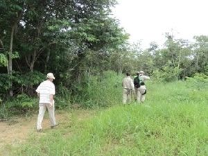 Homem desapareceu quando entrou na reserva florestal da cidade