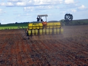 Plantio de soja em Mato Grosso est acelerado