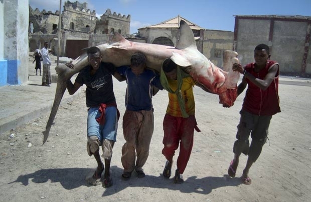 Pescadores carregam tubaro-martelo em rua de Mogadscio.