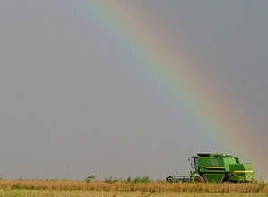 Soja  a principal cultura agrcola de Mato Grosso