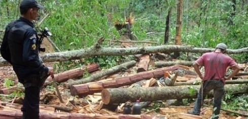 Aproximadamente 3 quilmetros foram devastados, conforme a Polcia Militar