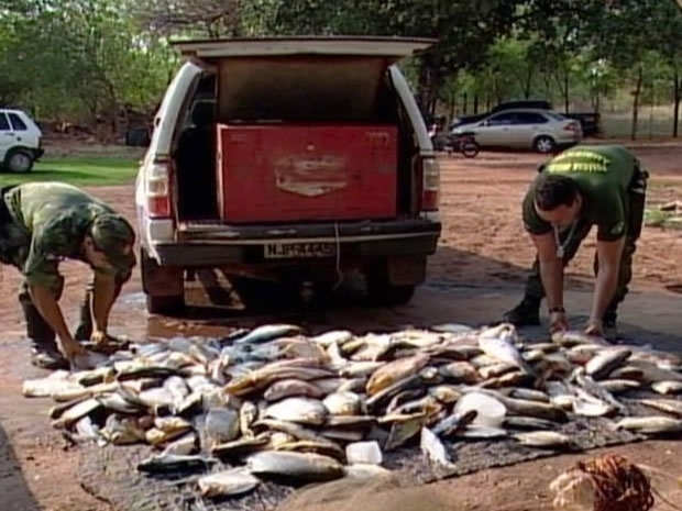 Vrias espcies de peixe foram apreendidas, dentre elas, pacu, piau, piraputanga e dourado.