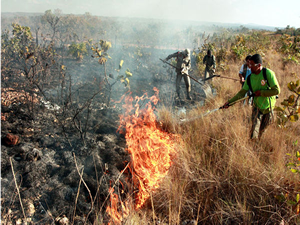 MT viveu pico histrico de focos em 2009 e  voltou aos ndices anteriores.