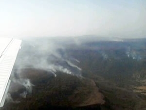 Parque florestal est queimando h trs dias, sem previso de fim