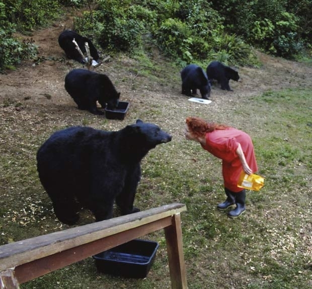 Karen Noyes vinha alimentando os ursos desde 2003.