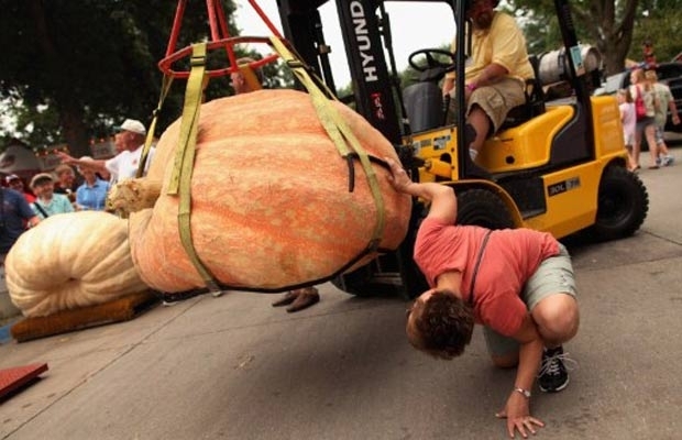 Concurso foi realizado na feira agrcola do estado do Iowa.