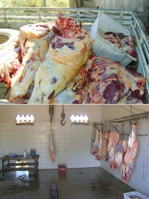 Fiscais flagraram pedaos de carne espalhados sem higiene e nem embalagens.