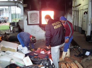 Policiais acompanham a incinerao da droga em frigorfico de Ponta Por 