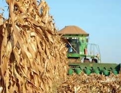 Potencial mato-grossense confirmado pelo Mapa no  nenhuma novidade para quem produz no Estado, seja gros ou carnes