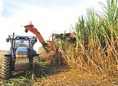 Conforme segmento produtivo, mecanizao em MT se d de forma mais avanada em relao a SP, maior produtor nacional de 