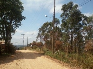 Estrada onde  corpos do casal foram encontrados pela polcia