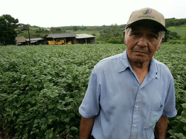 Joo Francisco hoje tem 300 hectares de soja no Paran