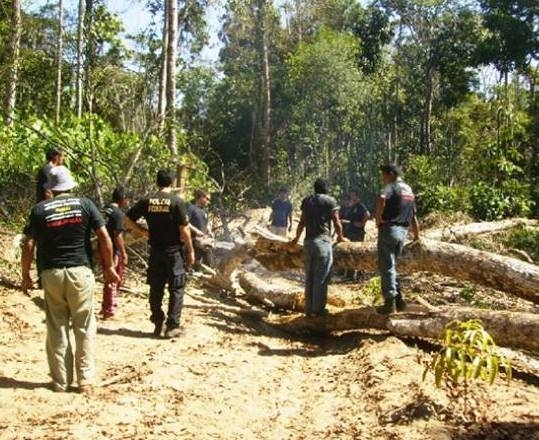 PF realizou operao na regio de Juna, em combate a explorao ilegal de madeira