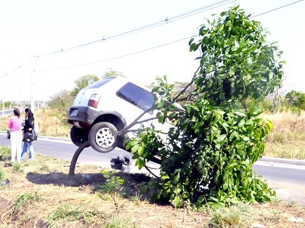 Carro atravessou canteiro da Avenida das Torres e subiu em rvore em Cuiab (Foto: Rayane Alves/G1)