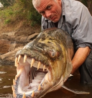 Abrao caloroso na piranha