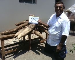 Mandioco j virou farinha e acompanhante para churrasquinho